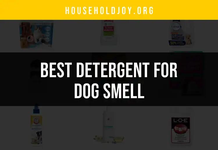 15 Best Detergents for Dog Smell You Can Trust
