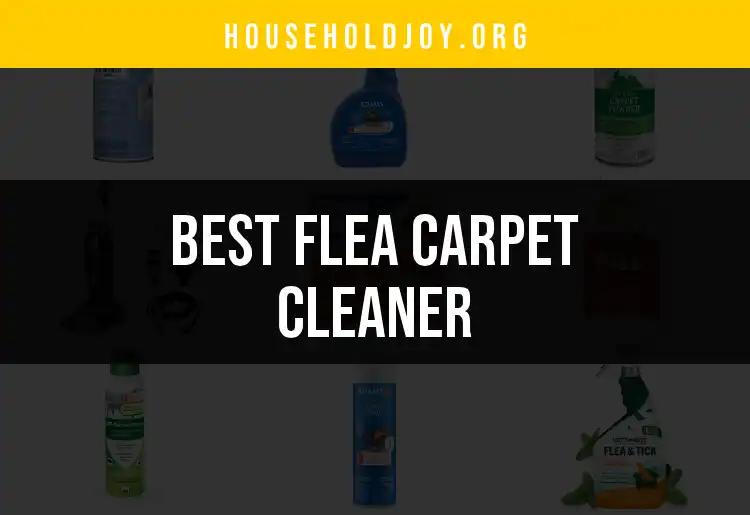 19 Best Flea Carpet Cleaners You Need to Consider