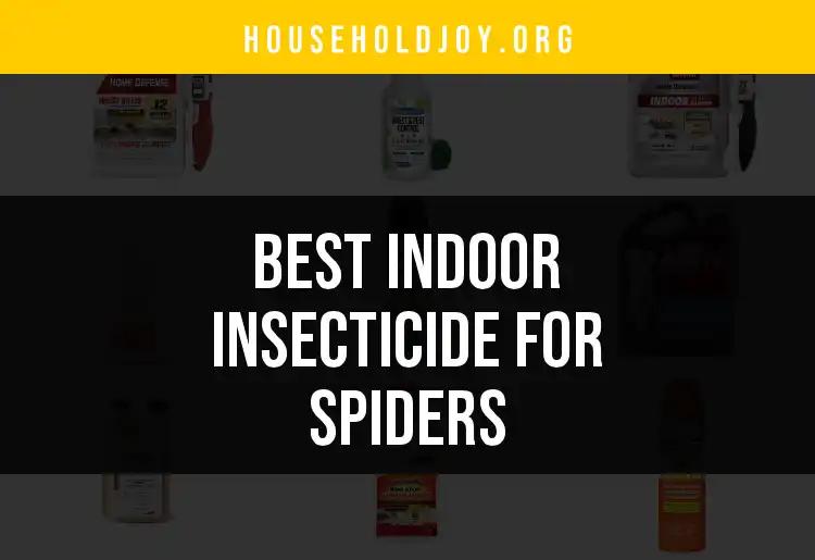 20 Top Indoor Insecticides for Spiders You Should Try