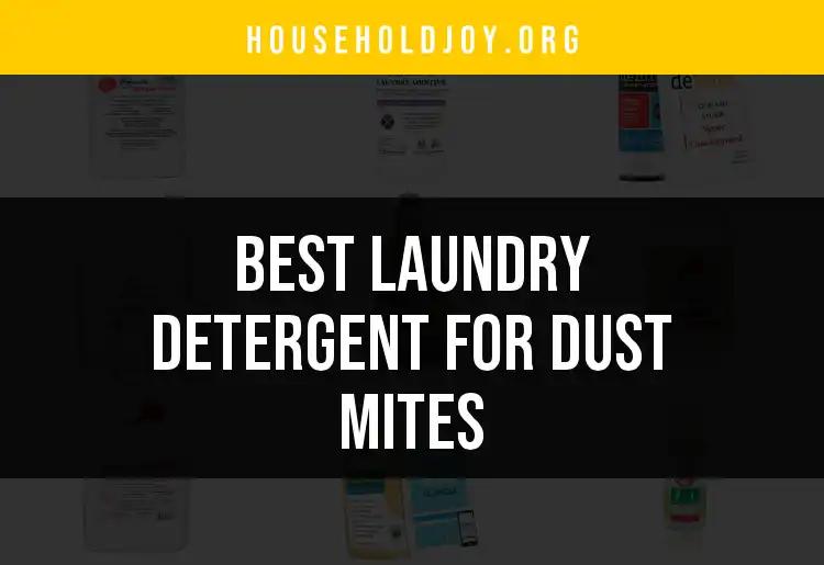 16 Laundry Detergents for Dust Mites You Need to Try