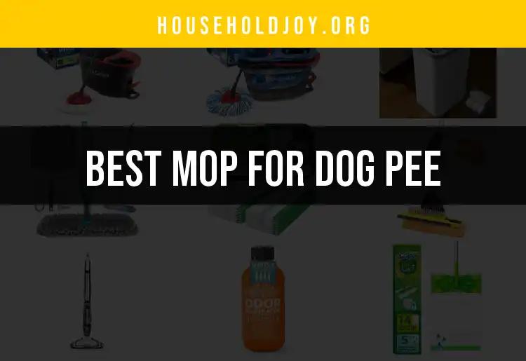 19 Best Mops for Dog Pee: Quick Clean Solutions