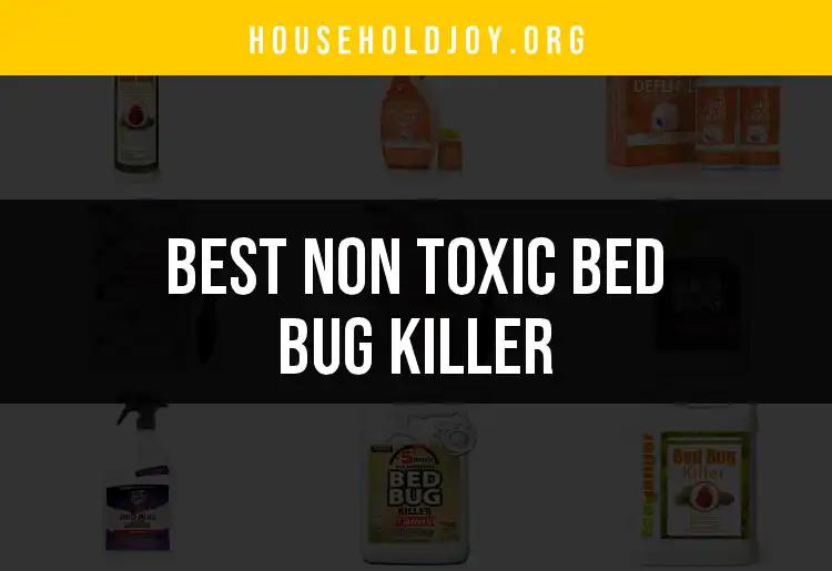 16 Non-Toxic Bed Bug Killers You Need Right Now
