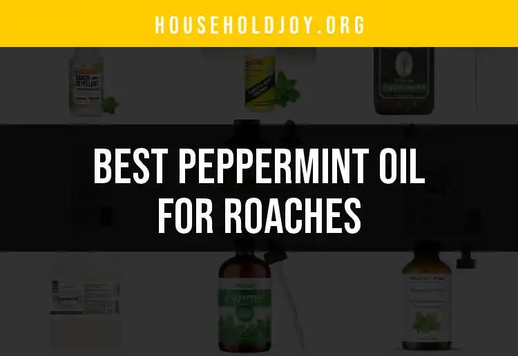 17 Best Peppermint Oil Remedies for Roaches