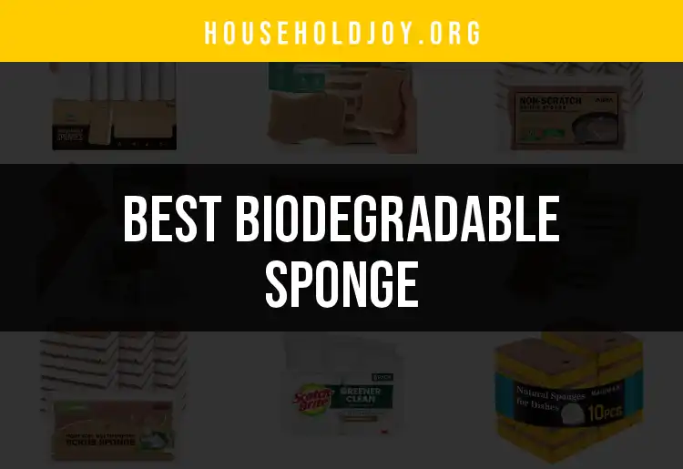 13 Biodegradable Sponges You Need for Eco-Friendly Cleaning featured