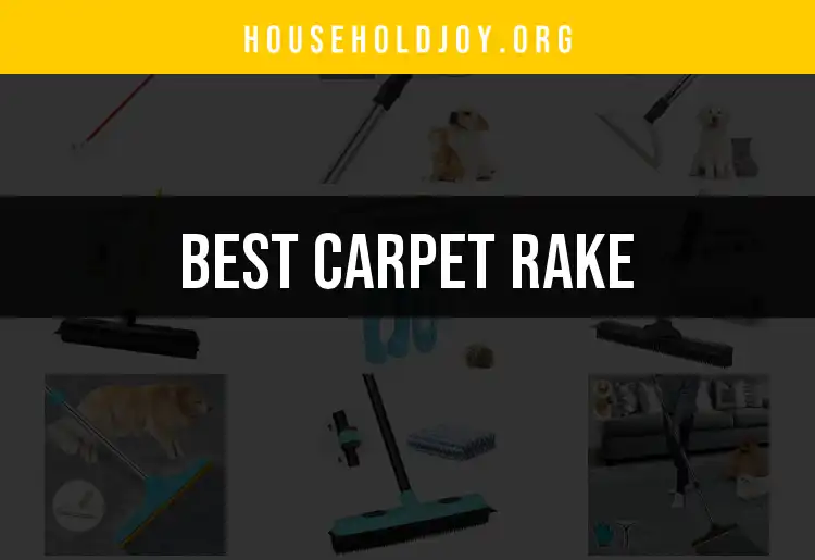 15 Best Carpet Rakes for Effortless Cleaning Solutions featured