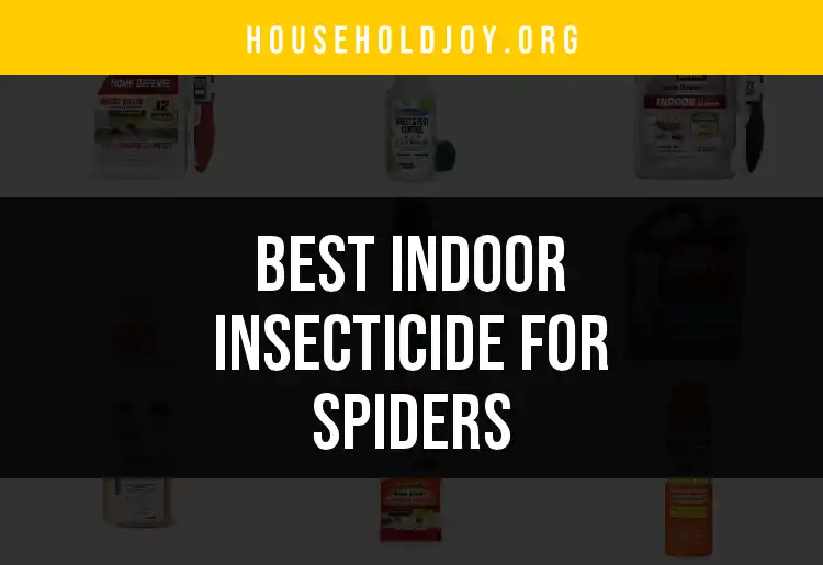 20 Top Indoor Insecticides for Spiders You Should Try
