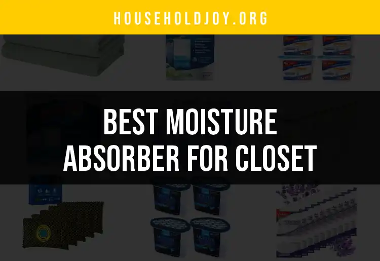 18 Top Moisture Absorbers for Your Closet Space featured