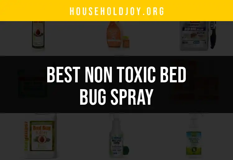 16 Non Toxic Bed Bug Sprays for Peaceful Sleep featured