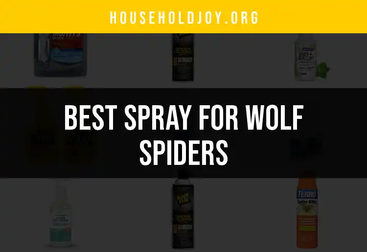 16 Best Sprays for Wolf Spiders: Quick and Effective Solutions featured