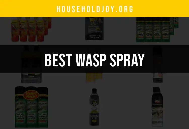 12 Best Wasp Sprays to Keep Your Home Safe featured